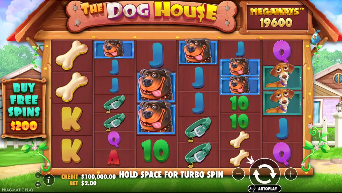 The Dog House Megaways Slot Review