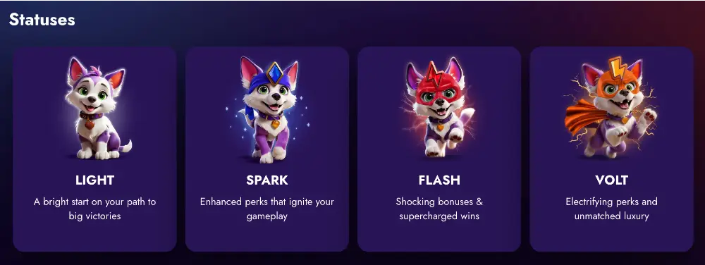 VIP program (Statuses)