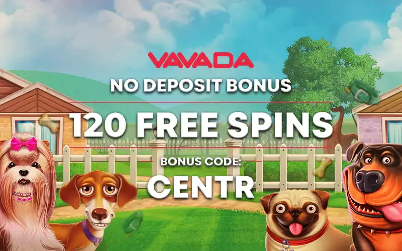 Vavada Casino No Deposit Bonus